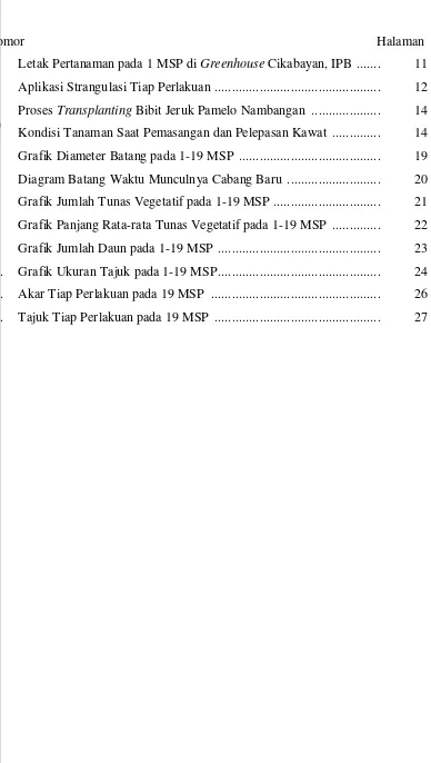 Grafik Diameter Batang pada 1-19 MSP  .........................................          19 