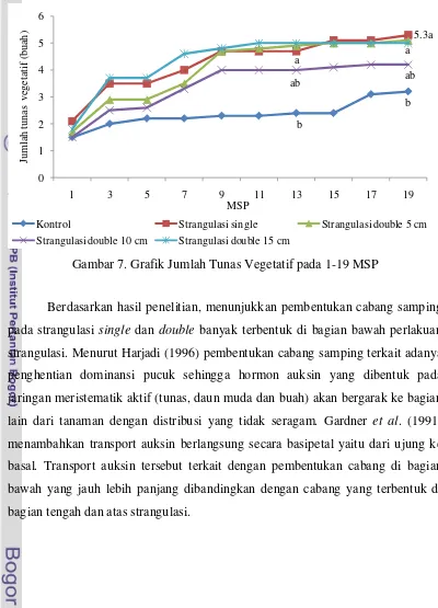 Gambar 7. Grafik Jumlah Tunas Vegetatif pada 1-19 MSP 