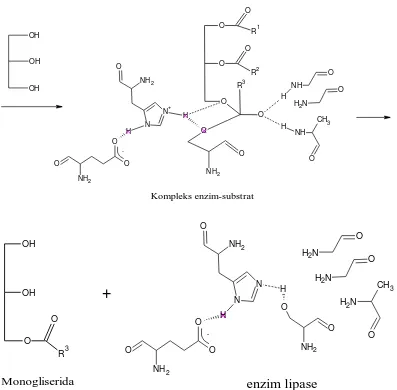 Gambar 4.1 Mekanisme reaksi gliserolisis enzimatis 