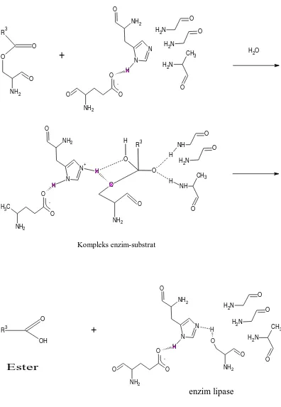 Gambar 4.2 Mekanisme reaksi pembentukan ester