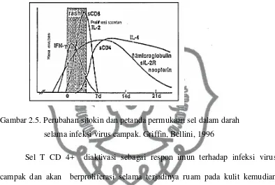 Gambar 2.5. Perubahan sitokin dan petanda permukaan sel dalam darah 