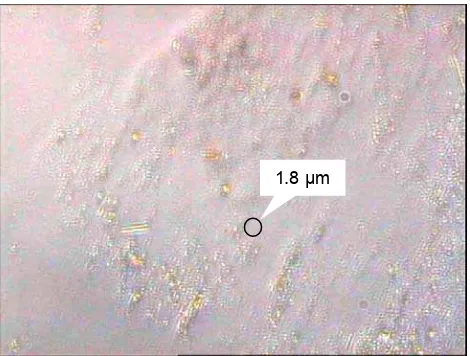 Gambar 15  Hasil penyaringan dengan membran milipore berukuran 0.45 µm. 