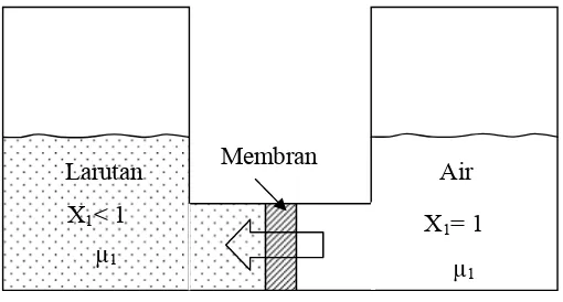Gambar 5 Fenomena osmosis. Dua sisi ruang dipisahkan oleh membran semipermeabel ideal