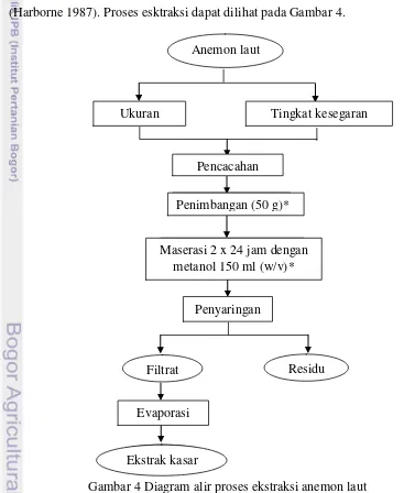 Gambar 4 Diagram alir proses ekstraksi anemon laut (Sumber: Pramadhany 2006 yang dimodifikasi*) 