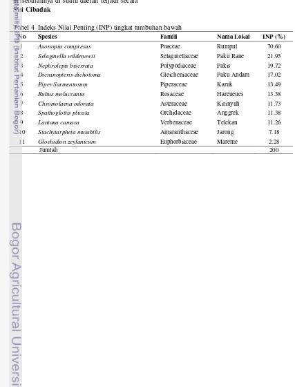 Tabel 4  Indeks Nilai Penting (INP) tingkat tumbuhan bawah 