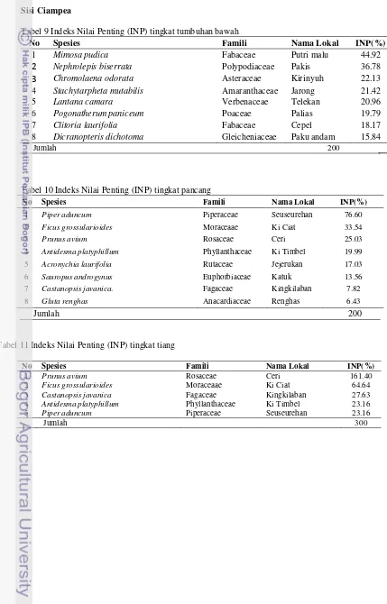 Tabel 9 Indeks Nilai Penting (INP) tingkat tumbuhan bawah 