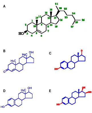 Gambar 4  Struktur kolesterol (A) dan hormon kelamin, B. Testosteron, C. Estron, D. Estradiol dan E