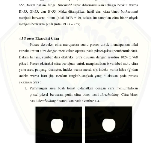 Gambar 4.4 Citra Biner Hasil Thresholding Buah Tomat Hijau dan Tomat Merah