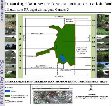 Gambar 3  Peta kondisi awal hutan kota UR. 