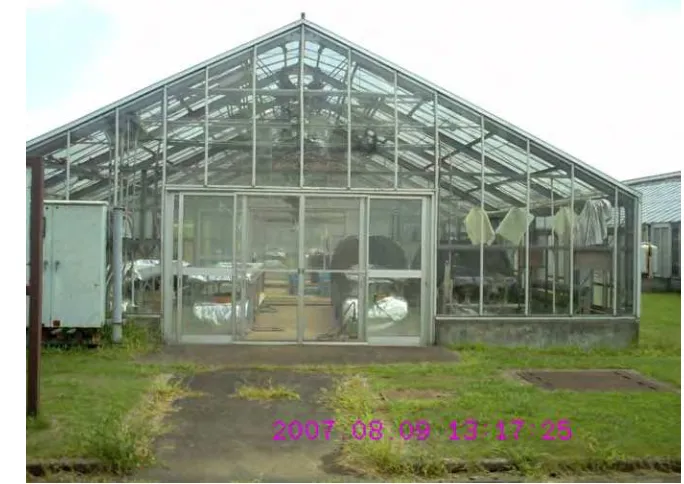 Gambar 3  Greenhouse tempat penelitian. 