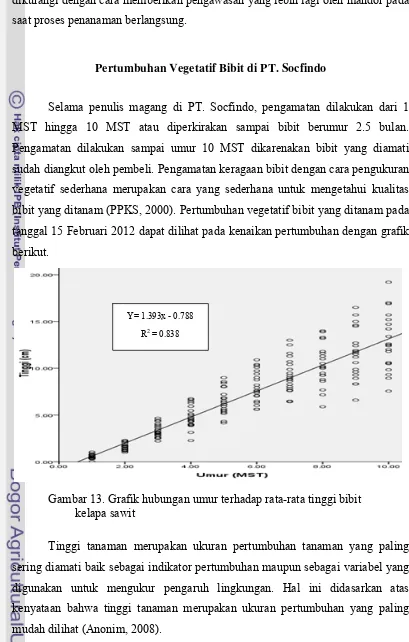 Gambar 13. Grafik hubungan umur terhadap rata-rata tinggi bibit   