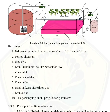 Gambar 3.1 Rangkaian komponen Bioreaktor CW 