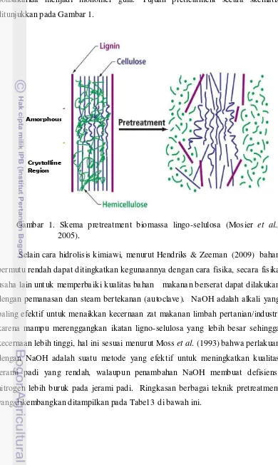 Gambar 1. Skema pretreatment biomassa lingo-selulosa (Mosier et al., 
