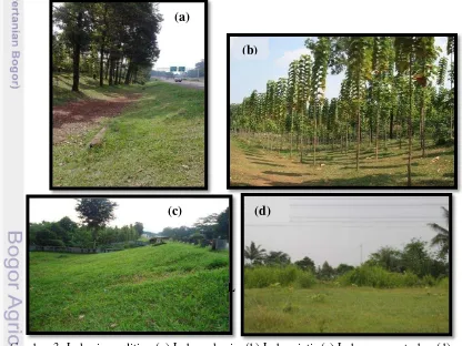 Gambar 3. Lokasi penelitian (a) Lahan akasia, (b) Lahan jati. (c) Lahan rumput, dan (d) 