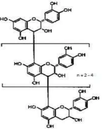 Gambar 4. Struktur proantosianidin atau tanin pada sorgum (Rooney dan 