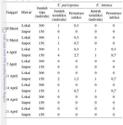 Tabel 1 Persentase T. parvispinus dan F. intonsa terinfeksi cendawan entomo-patogen pada delapan kali pengamatan tahun 2011 