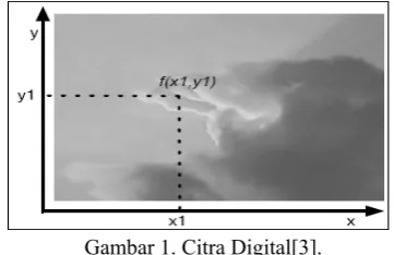 Gambar 1. Citra Digital[3].  