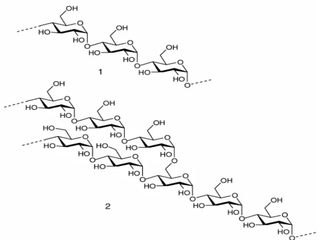 Gambar 1. Struktur kimia pati, (1). amilosa, (2). amilopektin  (Petersen et al. 1999)
