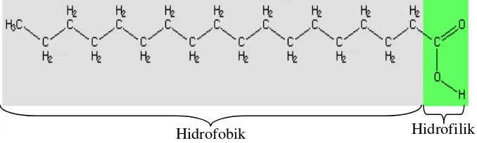 Gambar 7. Struktur asam stearat (Fennema et al. 1994) 