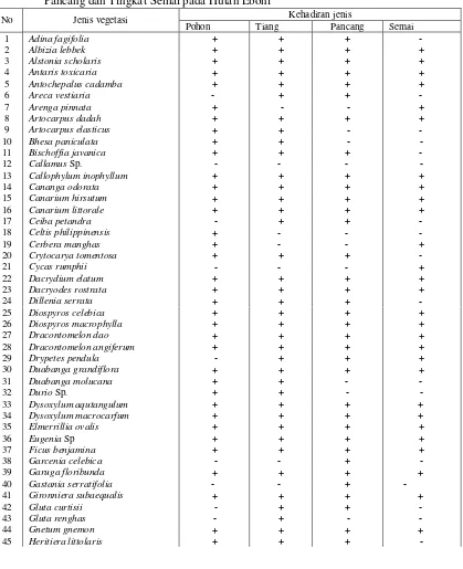 Tabel 1. Kehadiran jenis (+) dan Ketidakhadiran jenis (-) Vegetasi Tingkat Pohon, Tiang, Pancang dan Tingkat Semai pada Hutan Eboni  