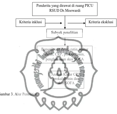 Gambar 3. Alur Penelitian 