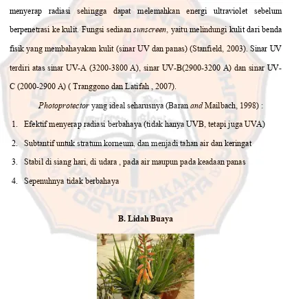 Gambar 1. Tanaman Lidah Buaya (Bhuvana, Hema, and Patil, 2014)