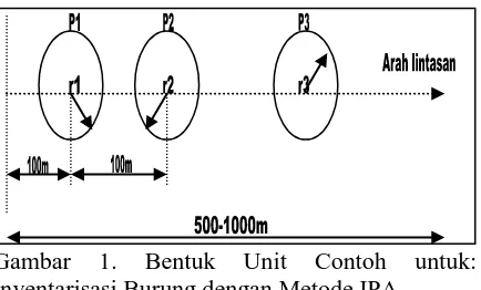 Gambar 1. Bentuk Unit Contoh Inventarisasi Burung dengan Metode IPA. Keterangan: P = Titik Pengamatan, r = Radius Lingkaran yang 