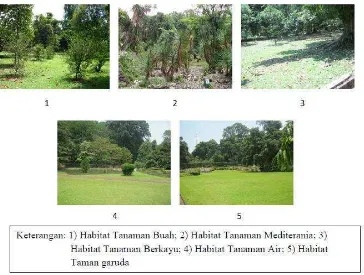 Gambar 9 Keberadaan daerah terbuka di masing-masing tipe habitat. 