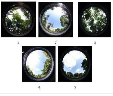 Gambar 10 Gambar kerapatan tajuk pada masing-masing lokasi penelitian dengan menggunakan kamera berlensa fisheye