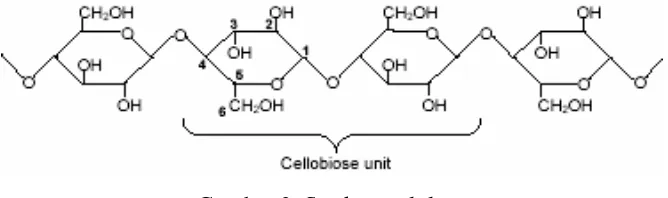 Gambar 2 Struktur selulosa