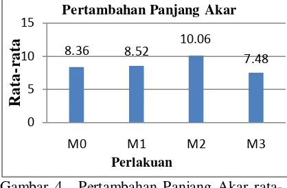 Gambar 4.  Pertambahan Panjang Akar rata-rata Semai Jati  