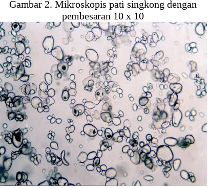 Gambar 4. Mikroskopis pati pengasaman denganperbesaran 10 x 10
