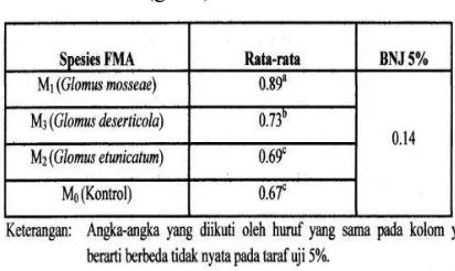 Tabel 7. Uji Beda Nyata Jujur berat kering akar (gram) semai kemiri.  