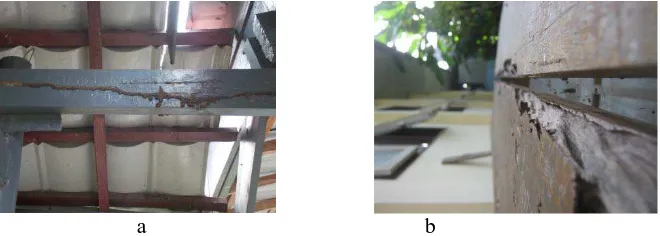 Gambar 3. a. Resplank yang terserang rayap tanah b. meja yang terserang rayap   kayu kering   