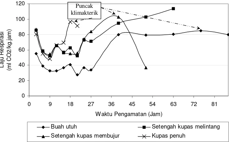 Gambar 8. Laju konsumsi O2 buah duku utuh dan terolah minimal selama penyimpanan pada suhu ruang