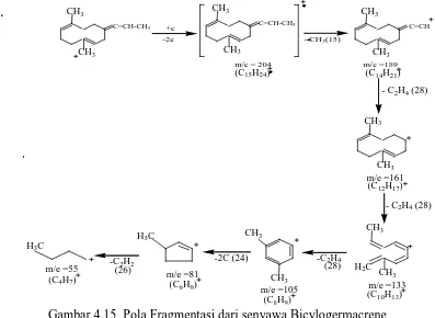 Gambar 4.15  Pola Fragmentasi dari senyawa Bicylogermacrene 