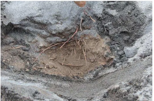 Gambar 5. Dalam kondisi kering tanah bisa tetap kering beberapa saat meskipun disiram (Pusdi Reklatam, 2012) 