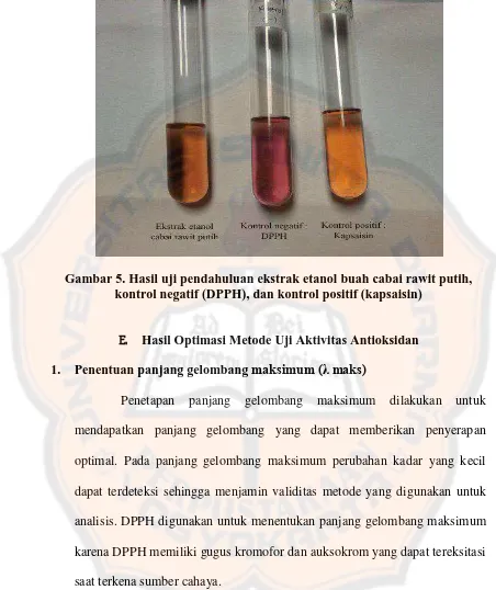 Gambar 5. Hasil uji pendahuluan ekstrak etanol buah cabai rawit putih, kontrol negatif (DPPH), dan kontrol positif (kapsaisin) 