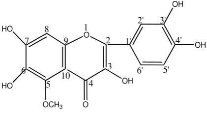 Gambar 4.4 Senyawa Hasil Isolasi (Flavonol) 