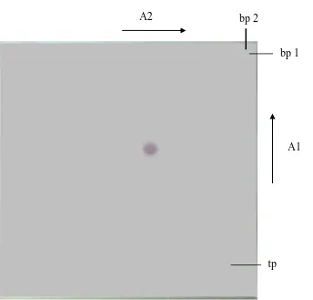 Gambar 4.4 Kromatogram hasil KLT dua arah dari isolat murni 