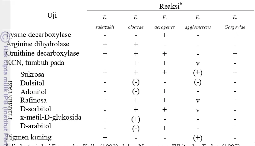 Tabel 3 Sifat biokimia spesies Enterobactera