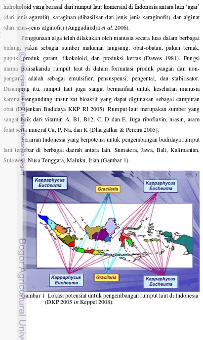 Gambar 1  Lokasi potensial untuk pengembangan rumput laut di Indonesia                          (DKP 2005