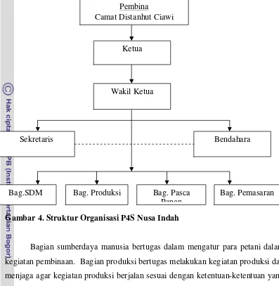 Gambar 4. Struktur Organisasi P4S Nusa Indah 