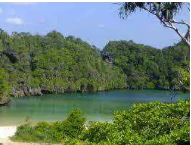 Gambar 1:  Bentang Alam yang ada di daerah tropis seperti Jawa  pada umum memiliki nuansa yang sangat indah