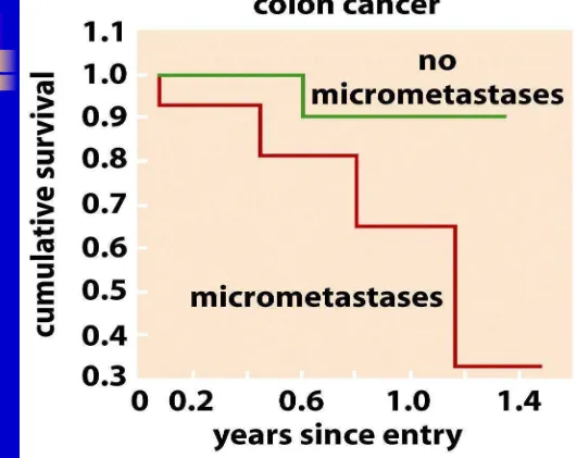 Figure 14.50b  The Biology of Cancer (© Garland Science 2007) 