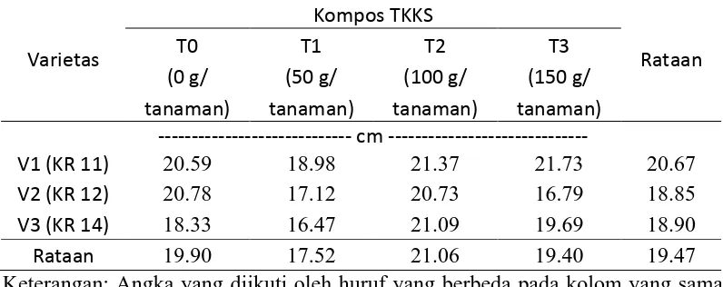 Tabel 6 menunjukkan bahwa panjang  akar kenaf pada perlakuan varietas 