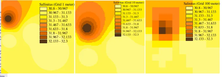 Gambar 7. Hasil interpolasi salinitas dengan teknik IDW grid 1, 10, dan 100 m  