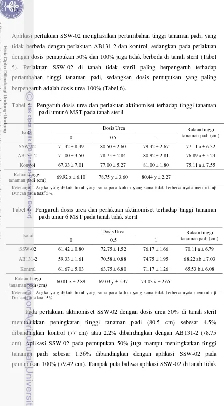 Tabel 5   Pengaruh dosis urea dan perlakuan aktinomiset terhadap tinggi tanaman 