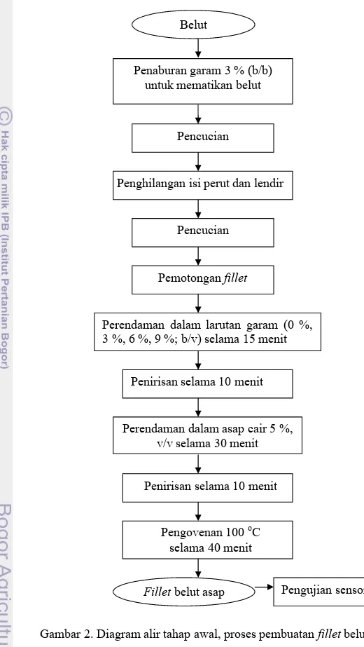 Gambar 2. Diagram alir tahap awal, proses pembuatan fillet belut asapPenaburan garam 3 % (b/b) 