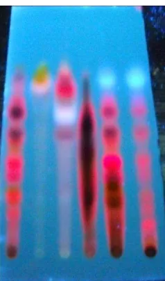 Gambar  2. Kromatogram dari kiri ke kanan FTL, Fraksi (F)-I, F-II, F-III, F-IV, dan F-V hasil  kromatografi cair vakum, fase diam silika gel GF254, fase gerak n-heksana:etil asetat (5:1), deteksi UV 366 nm 